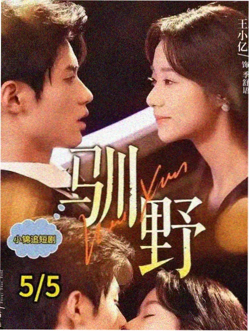 特片影院家庭剧归港海报
